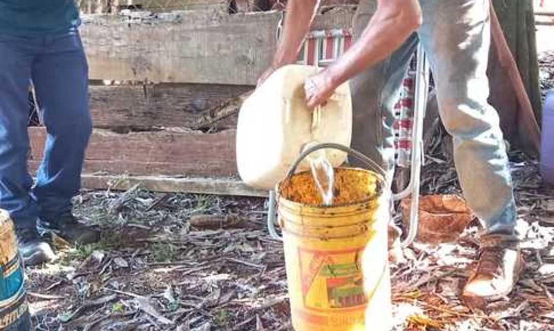 Imagen de Productores de Montecarlo y Guaraypo aprendieron c&oacute;mo preparar fertilizante org&aacute;nico para la yerba