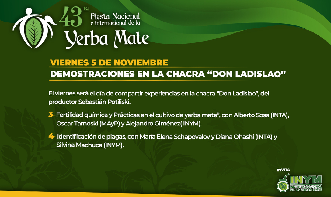 Imagen de La Fiesta de la Yerba Mate, este año con dos jornadas dedicadas al cultivo Imagen de La Fiesta de la Yerba Mate, este año con dos jornadas dedicadas al cultivo