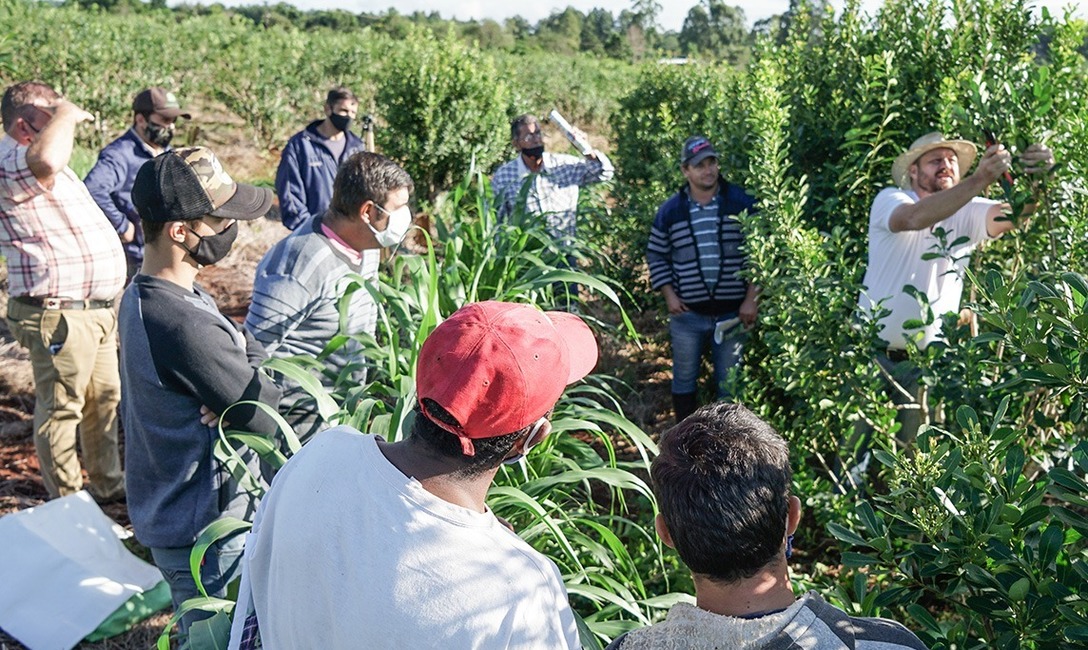 Imagen de El Servicio de Extensión Yerbatero cumplió un año de trabajo junto a los pequeños productores Imagen de El Servicio de Extensión Yerbatero cumplió un año de trabajo junto a los pequeños productores