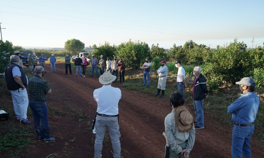 Imagen de El Servicio de Extensión Yerbatero cumplió un año de trabajo junto a los pequeños productores Imagen de El Servicio de Extensión Yerbatero cumplió un año de trabajo junto a los pequeños productores