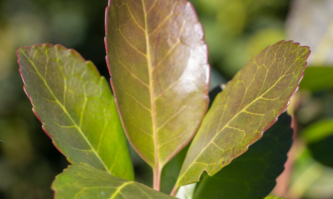 Imagen de Rigen los nuevos precios m&iacute;nimos para la materia