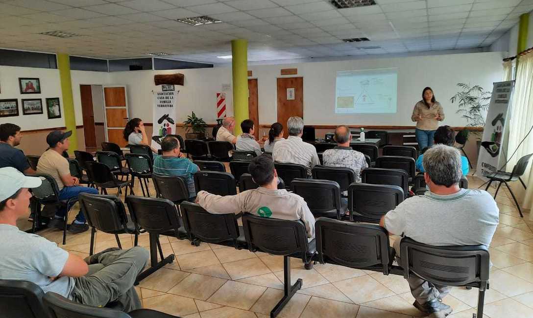 Imagen de Jornada sobre plagas en yerbales en San Pedro