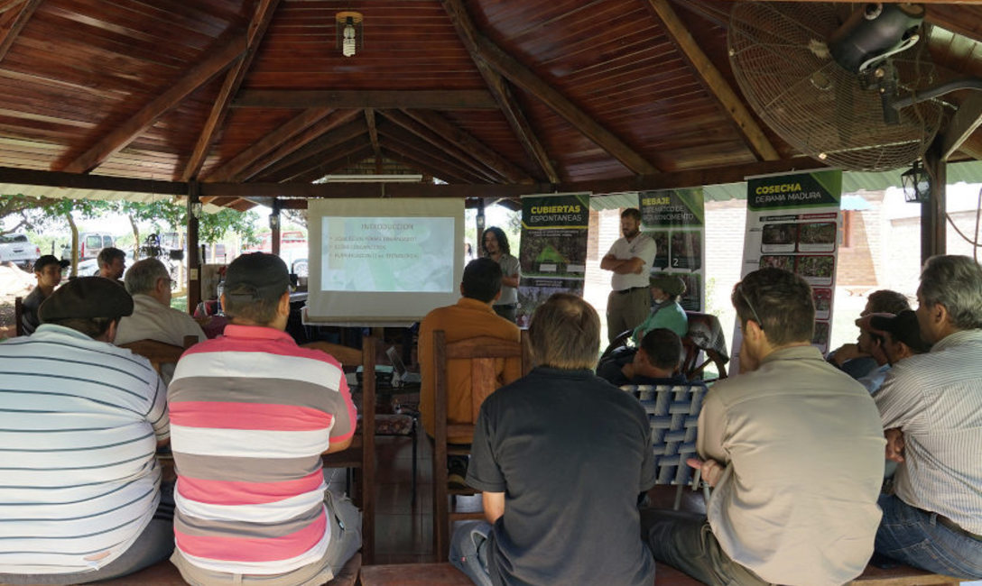 Imagen de Capacitaci&oacute;n en recuperaci&oacute;n de yerbales con productores de San Carlos