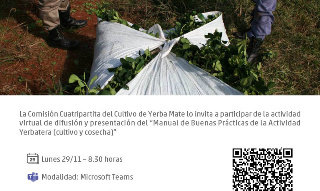 Imagen de Jornada virtual sobre �Manual de Buenas Pr&aacute;cticas de la Actividad Yerbatera