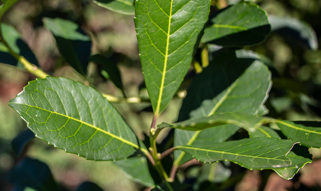 Imagen de El Presidente de la Legislatura Misionera manifestó su apoyo al presidente del INYM y “coincidencia total” con el juez Casals Imagen de El Presidente de la Legislatura Misionera manifestó su apoyo al presidente del INYM y “coincidencia total” con el juez Casals