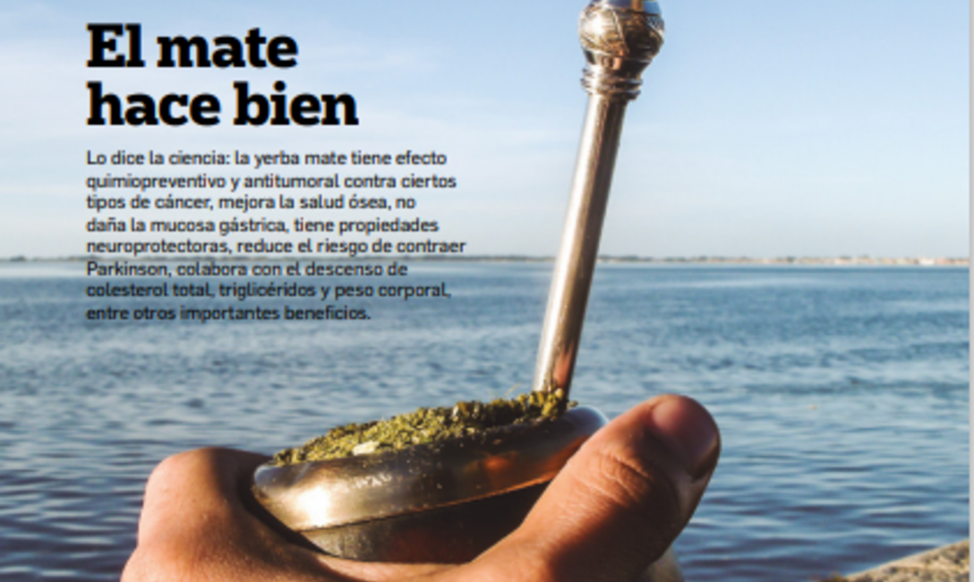 Imagen de Revista Bien Nuestro Nº40 Imagen de Revista Bien Nuestro Nº40