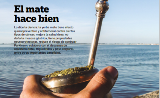 Imagen de Revista Bien Nuestro Nº40