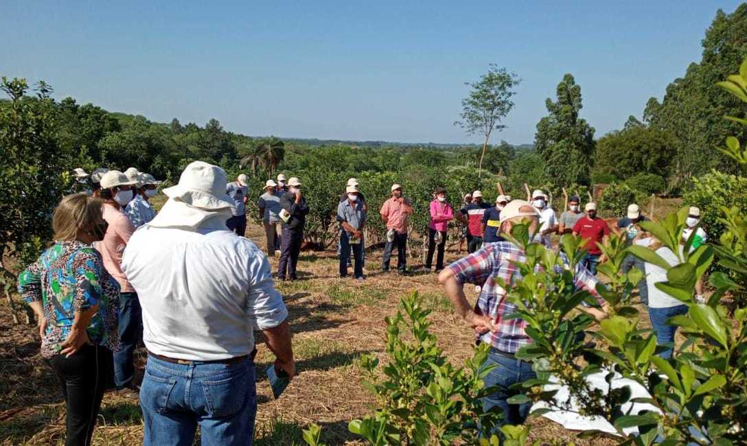 Imagen de El lunes, jornada de capacitaci&oacute;n para tareferos