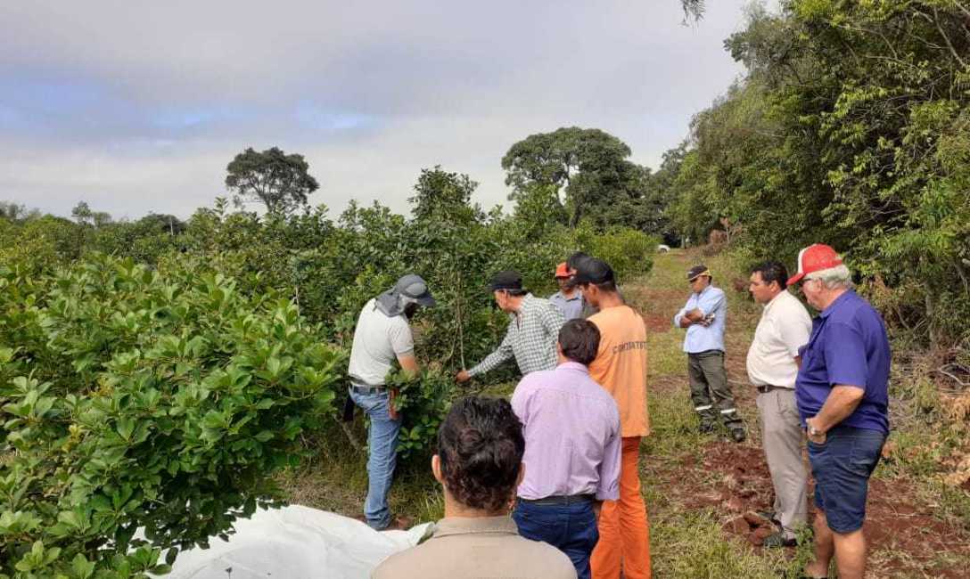 Imagen de Jornada de capacitación para tareferos en Garruchos, Corrientes Imagen de Jornada de capacitación para tareferos en Garruchos, Corrientes