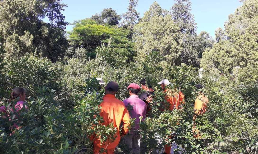 Imagen de Capacitación a tareferos en Liebig Imagen de Capacitación a tareferos en Liebig