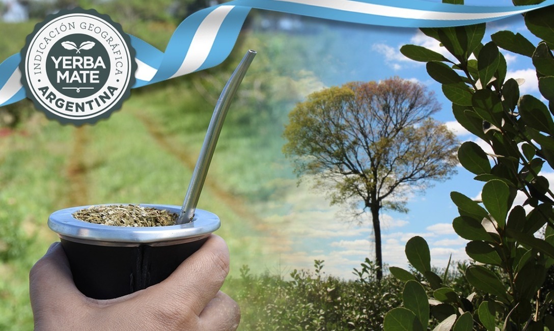 Imagen de La IG Yerba Mate Argentina destacada por la Organización Mundial de la Propiedad Intelectual Imagen de La IG Yerba Mate Argentina destacada por la Organización Mundial de la Propiedad Intelectual
