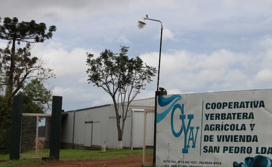 Imagen de La Cooperativa Yerbatera de San Pedro celebró 25 años de trabajo junto a productores del norte misionero