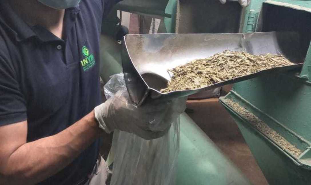 Imagen de Durante enero se rezarandearon m&aacute;s de 200 mil kilos de yerba mate canchada nacional e importada