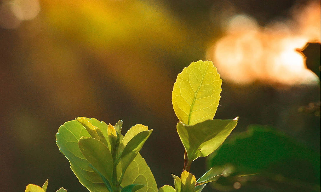 Imagen de Se cumplen 20 a&ntilde;os de la sanci&oacute;n de la Ley de creaci&oacute;n del INYM
