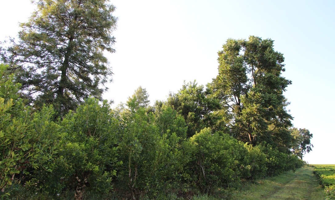 Imagen de Walter Wurfel es el Productor del año 2021 Imagen de Walter Wurfel es el Productor del año 2021