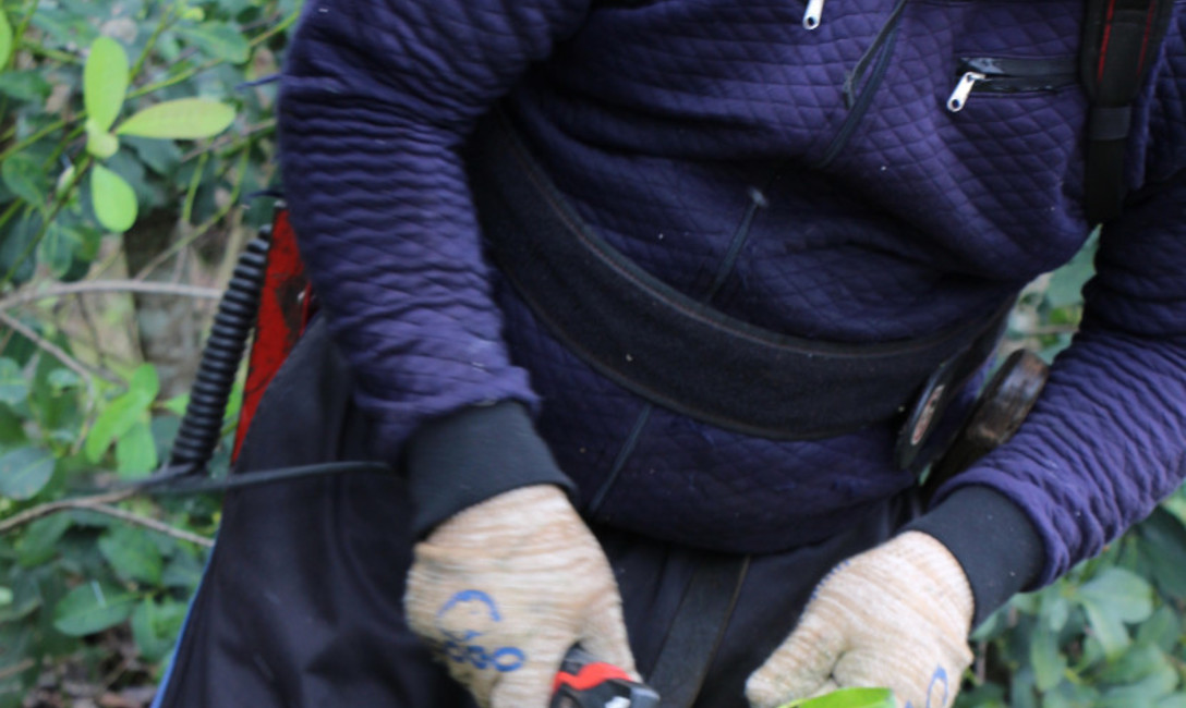 Imagen de Capacitaci&oacute;n para tareferos