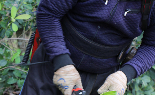 Imagen de Capacitaci&oacute;n para tareferos