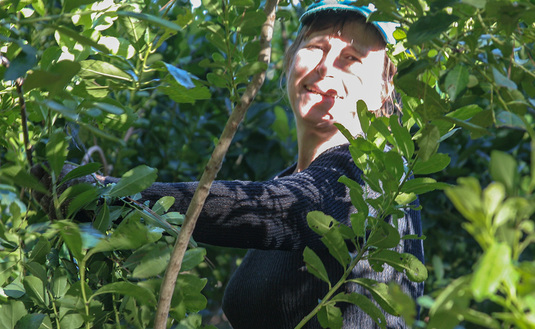 Imagen de Día Internacional de la Mujer