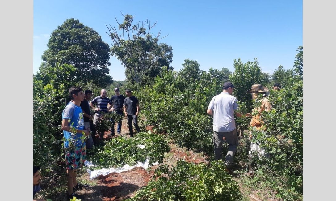 Imagen de Capacitaci&oacute;n para cosecheros de Comandante Andresito