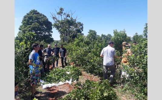 Imagen de Capacitaci&oacute;n para cosecheros de Comandante Andresito