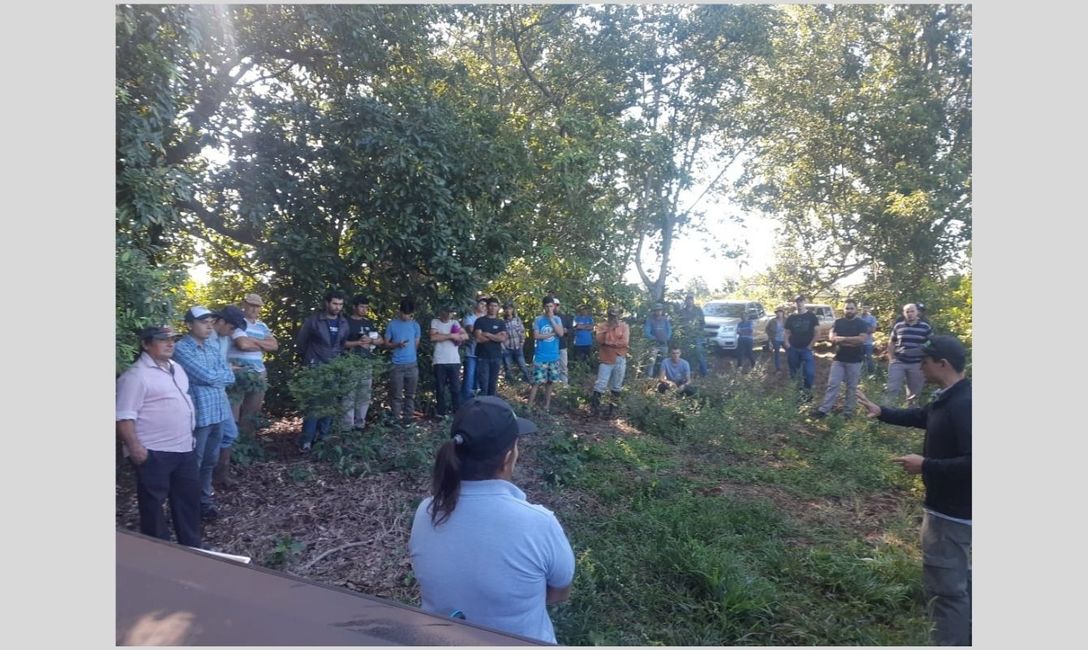 Imagen de Capacitaci&oacute;n para cosecheros de Comandante Andresito