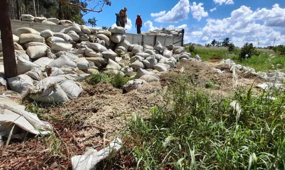 Imagen de Se inutilizaron cargas de palos de yerba mate que hab&iacute;an sido intervenidos
