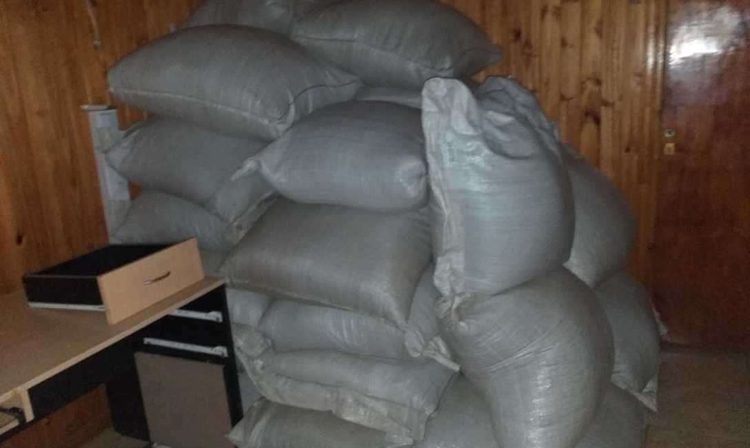 Imagen de Controles y decomisos de yerba mate en Santo Tom&eacute;