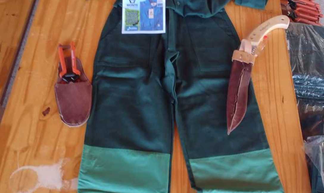 Imagen de Contin&uacute;an las capacitaciones para cosecheros