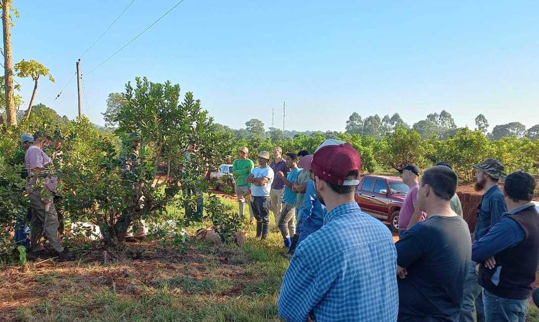 Imagen de Nueva jornada de capacitaci&oacute;n con productores de Jard&iacute;n Am&eacute;rica