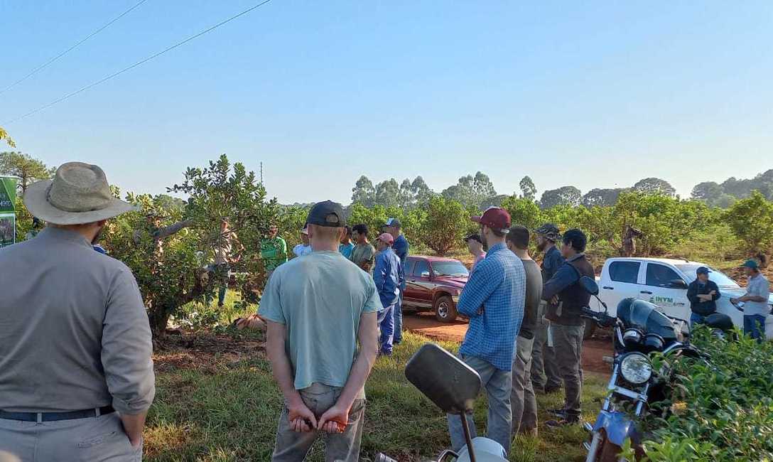 Imagen de Nueva jornada de capacitaci&oacute;n con productores de Jard&iacute;n Am&eacute;rica