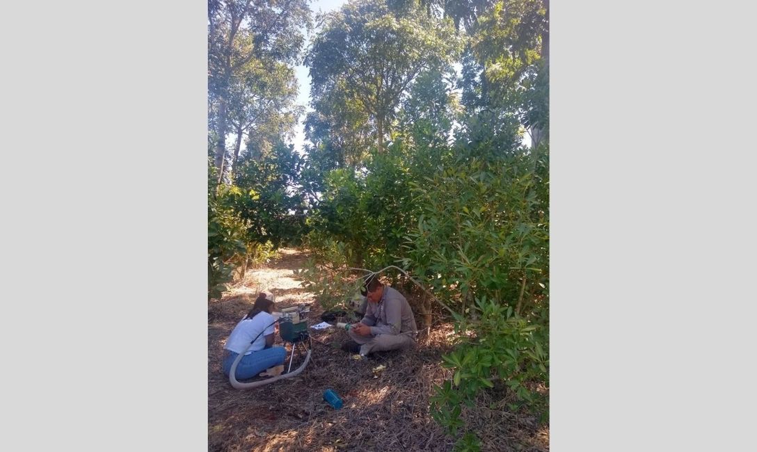 Imagen de �El sistema agroforestal en yerba mate es una oportunidad para enfrentar el cambio clim&aacute;tico�