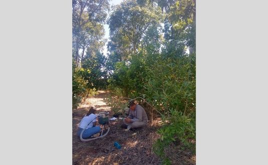 Imagen de �El sistema agroforestal en yerba mate es una oportunidad para enfrentar el cambio clim&aacute;tico�