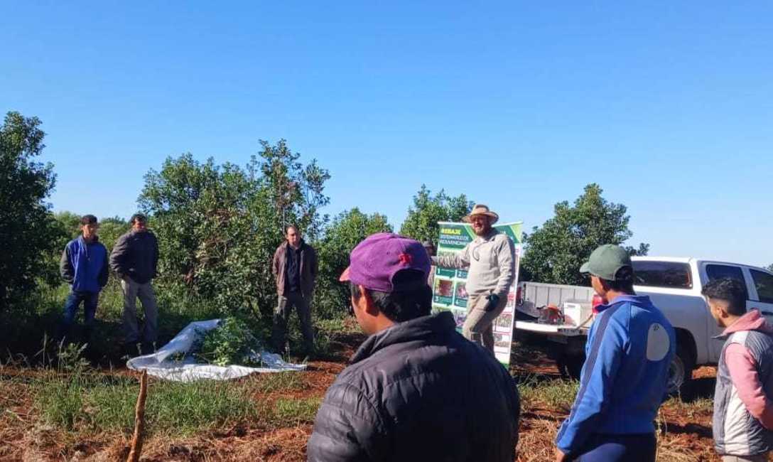 Imagen de M&aacute;s de 200 tareferos en jornadas de capacitaci&oacute;n de t&eacute;cnica de cosecha y legislaci&oacute;n