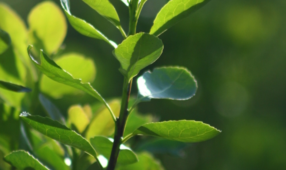 Imagen de Agenda de actividades del 11 al 13 de abril 2022