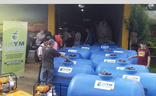 Imagen de Recordatorio: requisitos y montos de los programas de apoyo a productores yerbateros