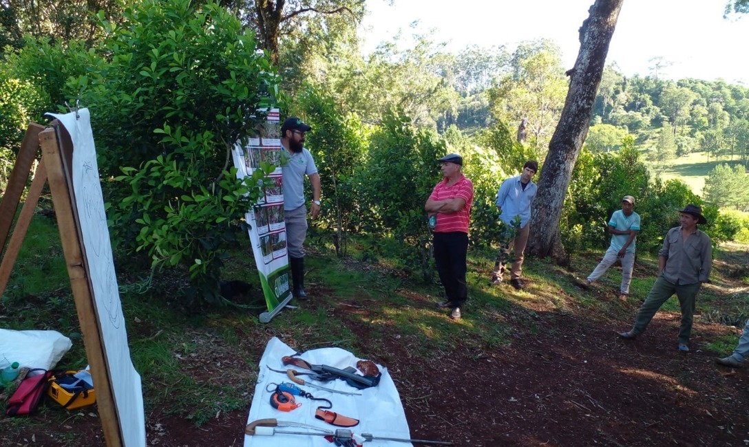Imagen de Jornada de cosecha de rama madura con productores de Fracr&aacute;n