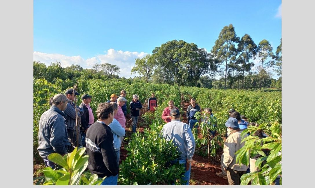 Imagen de Jornada de aprendizaje para optimizar yerbales en Dos de Mayo