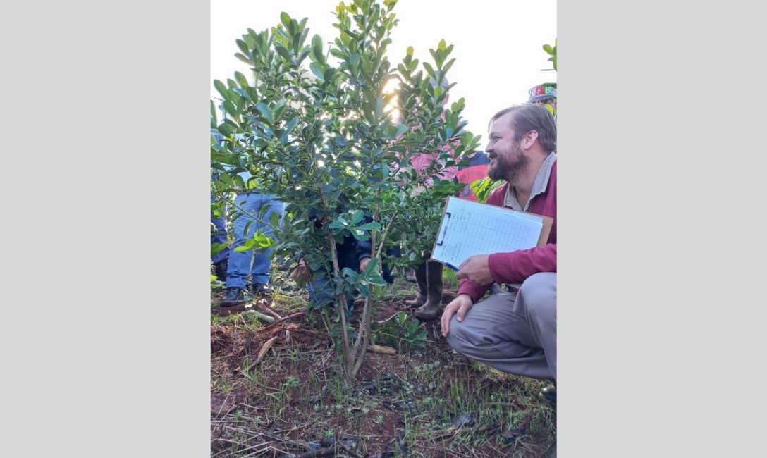 Imagen de Jornada de aprendizaje para optimizar yerbales en Dos de Mayo