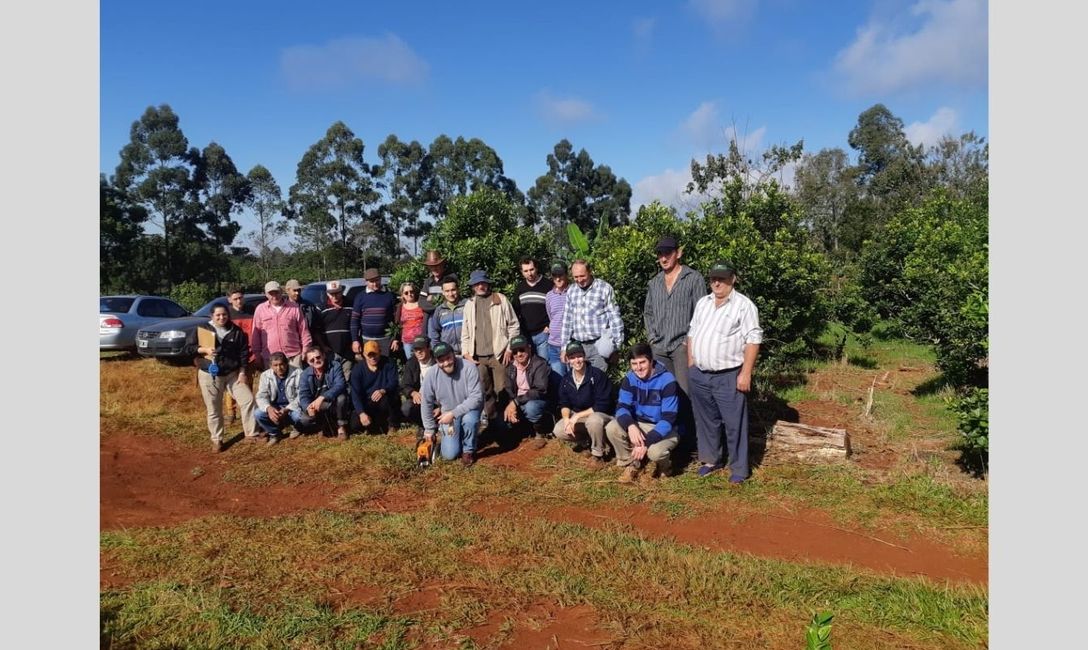 Imagen de Jornada de aprendizaje para optimizar yerbales en Dos de Mayo