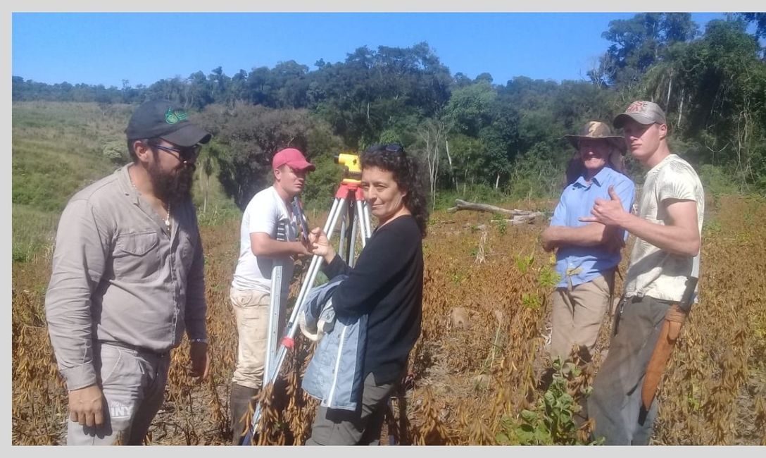 Imagen de Yerbales con manejo ambiental cerca de Yabot&iacute;