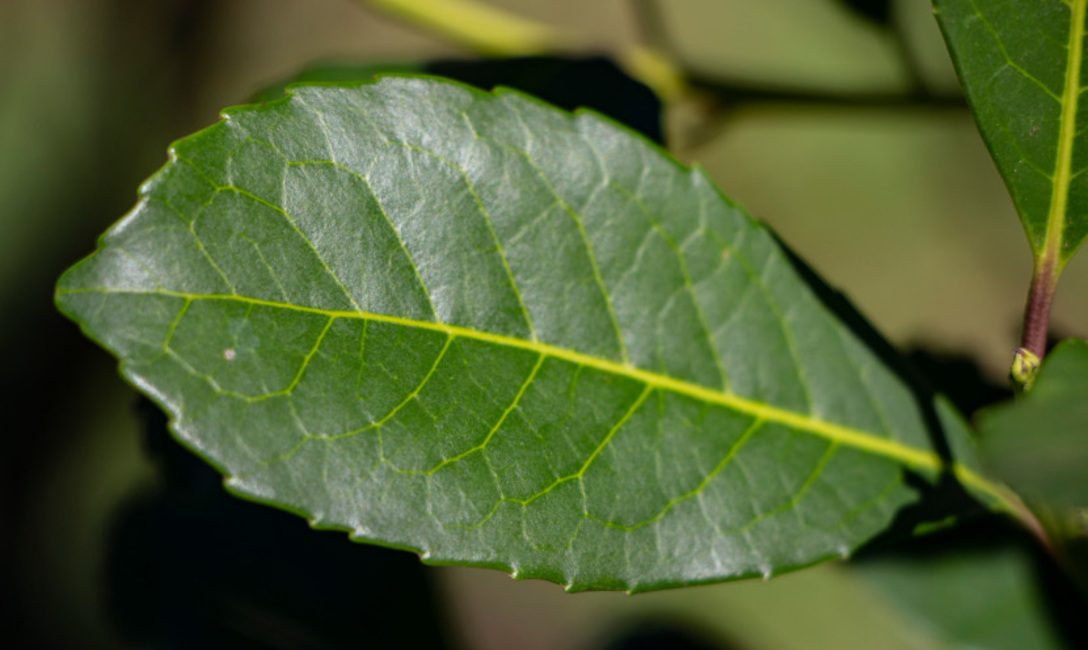 Imagen de Mejoramos nuestra infraestructura inform&aacute;tica para los tr&aacute;mites en l&iacute;nea