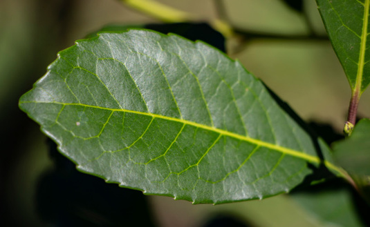 Imagen de Mejoramos nuestra infraestructura informática para los trámites en línea