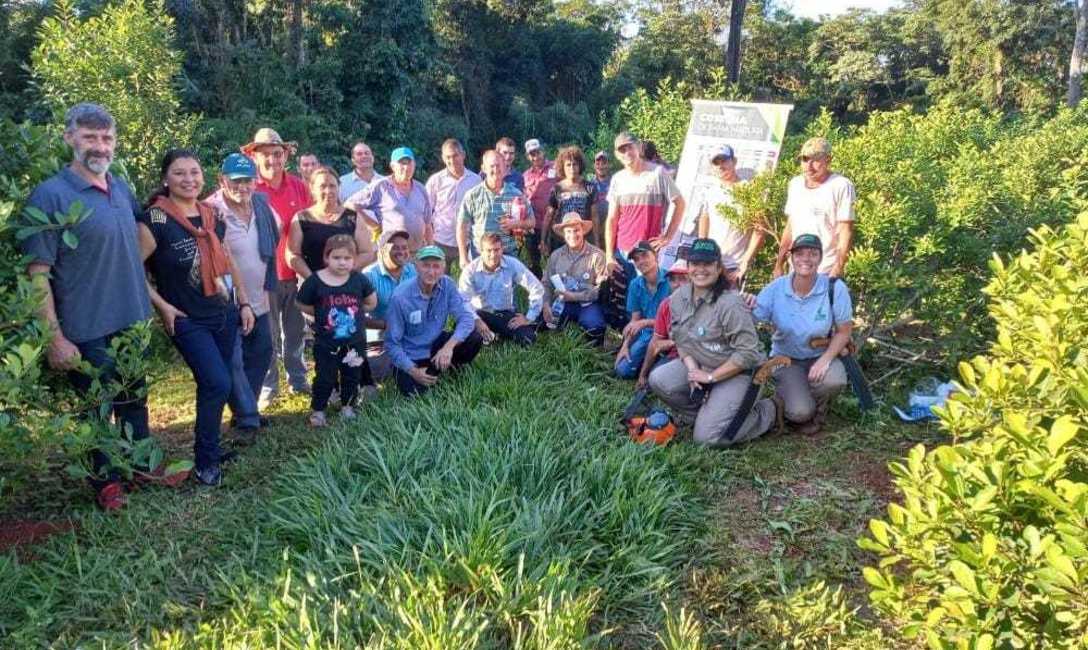 Imagen de Jornada t&eacute;cnica con productores y tareferos de El Soberbio