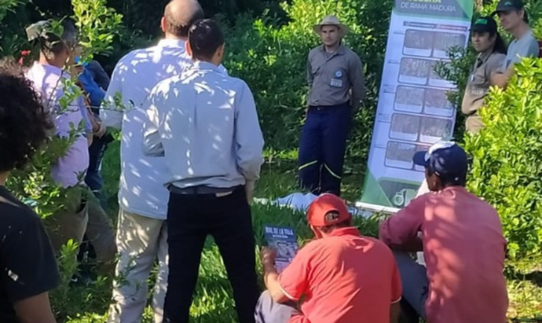 Imagen de Jornada t&eacute;cnica con productores y tareferos de El Soberbio
