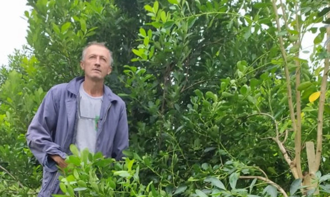 Imagen de Jornada t&eacute;cnica con productores y tareferos de El Soberbio