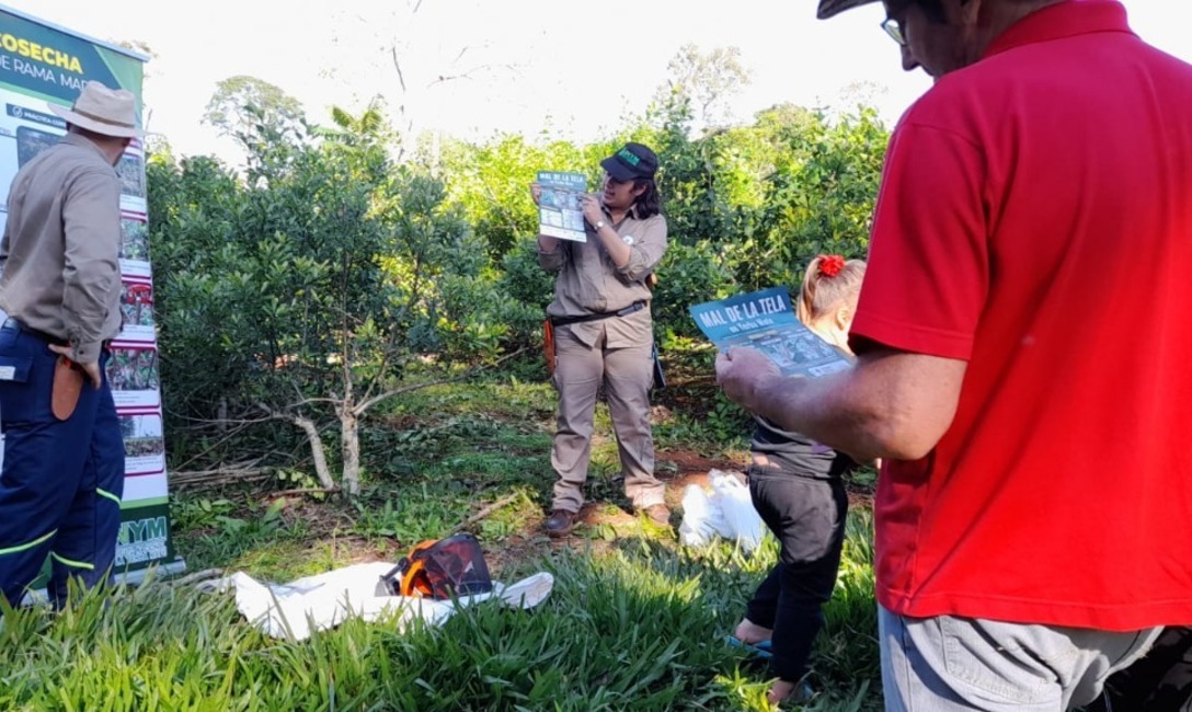 Imagen de Jornada t&eacute;cnica con productores y tareferos de El Soberbio
