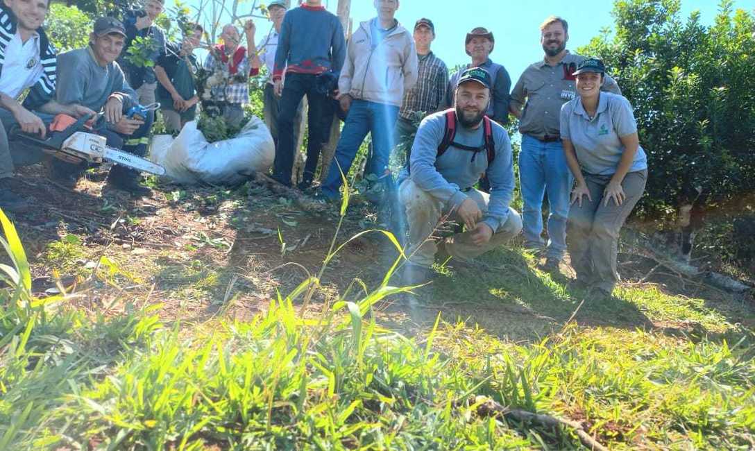 Imagen de Jornada yerbatera en la chacra de Scher, en Dos de Mayo
