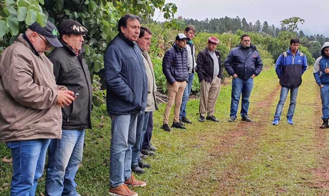 Imagen de M&aacute;s de 40 personas en jornada yerbatera en San Vicente