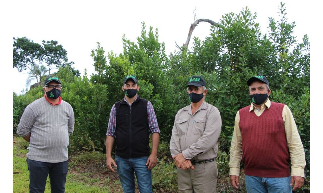 Los Directores de la Producción con Basilio Novosak, en Guaraní, galardonado como Buen Productor Yerbatero 2020. Los Directores de la Producción con Basilio Novosak, en Guaraní, galardonado como Buen Productor Yerbatero 2020.