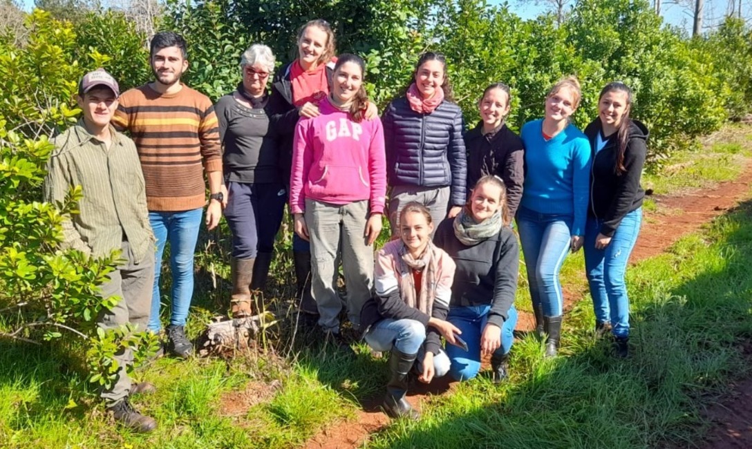 Imagen de T&eacute;cnicas de poda y cuidado de planta y suelos en Capiov&iacute;, Ruiz de Montoya y Azara